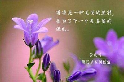 坚持的优美句子