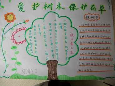 保护花草的手抄报
