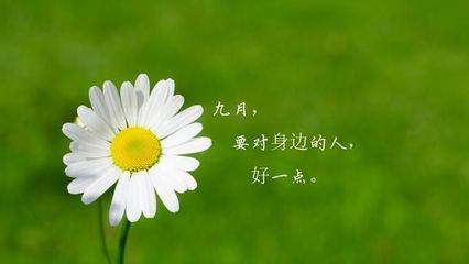 时间过得快的唯美句子