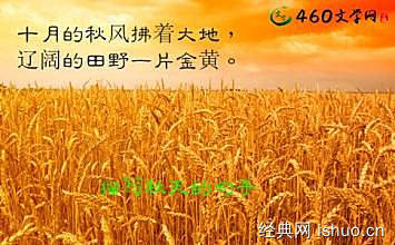 金黄金黄照样子写句子
