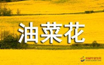 金黄金黄照样子写句子