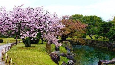 怎样描写春天的景色