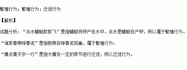 描写分别的诗句
