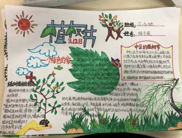 保护花草的手抄报
