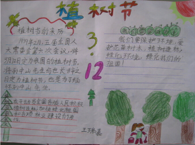 保护花草的手抄报