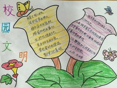 保护花草的手抄报