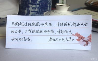 男人窝囊的句子