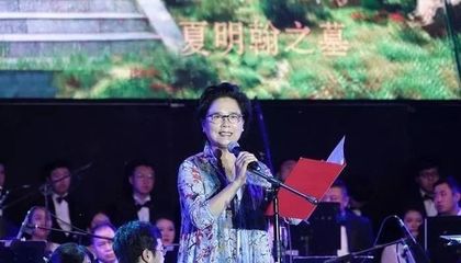夏明翰英勇就义的故事