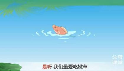 小鱼的故事
