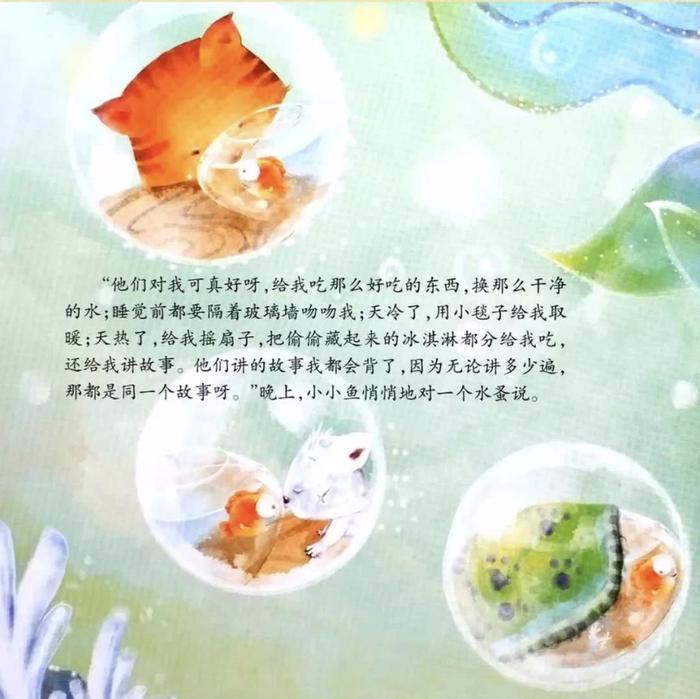 小鱼的故事