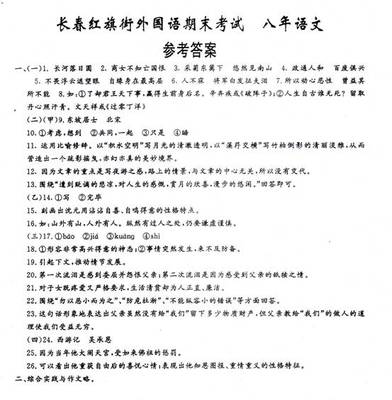 关于红旗的作文