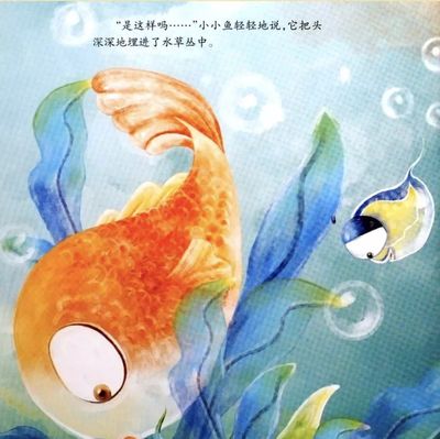 小鱼的故事
