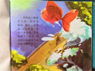 小鱼的故事