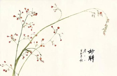 中国画作文