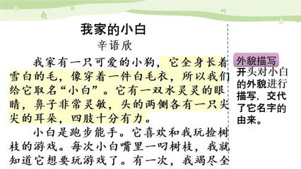 写小狗外貌的作文