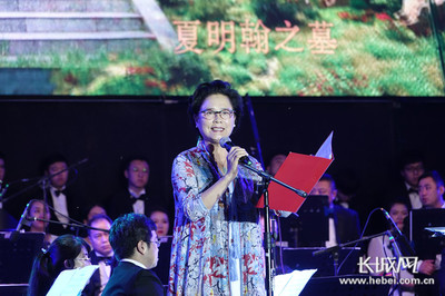 夏明翰英勇就义的故事