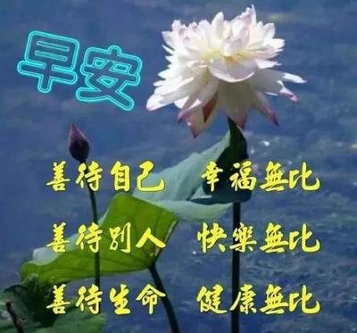 祝福自己的句子