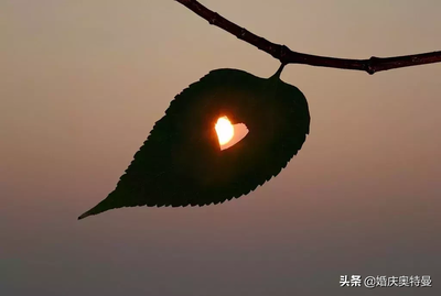 描写夜晚景色的词语