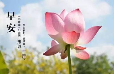 睡到自然醒的早安句子