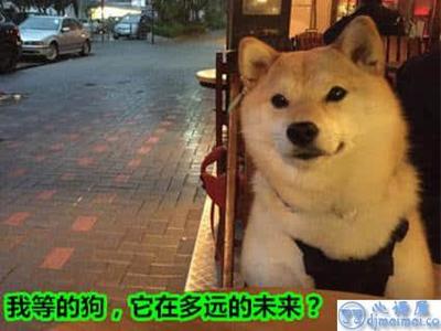下雨搞笑句子