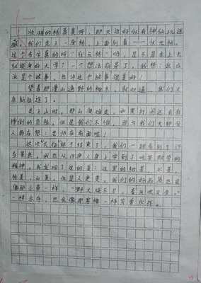 我得奖了作文