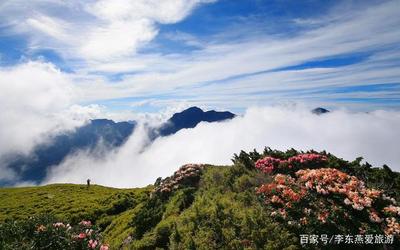 旅游乐趣的句子