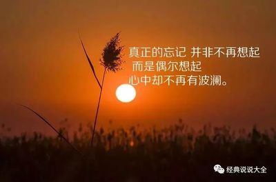 忘记一个人的经典句子