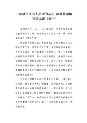 美丽的深圳作文