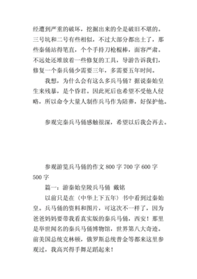 参观兵马俑作文