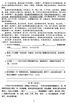 六年级语文期末作文