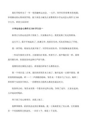 运动会心得作文