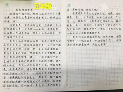 关于关爱的作文800字