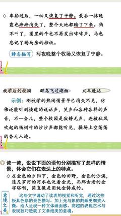 描写景物的顺序有哪些