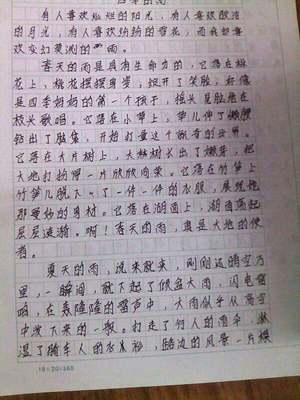 描写人的作文800