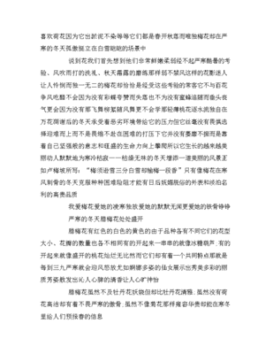 描写人的作文800
