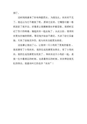 小狗不见了作文
