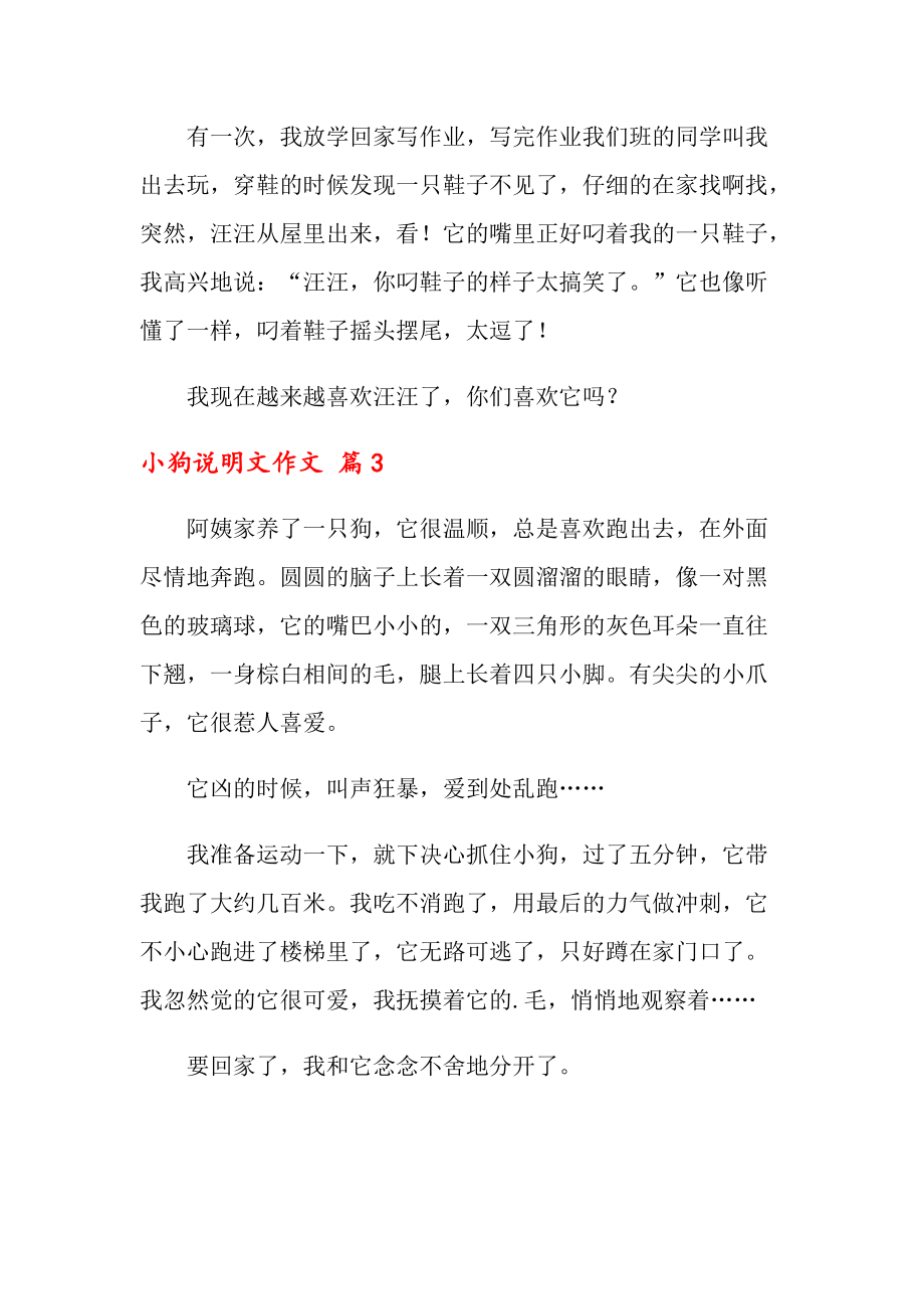 小狗不见了作文