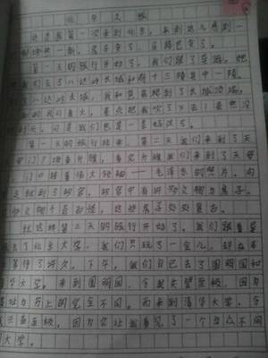 严厉的老师作文300字