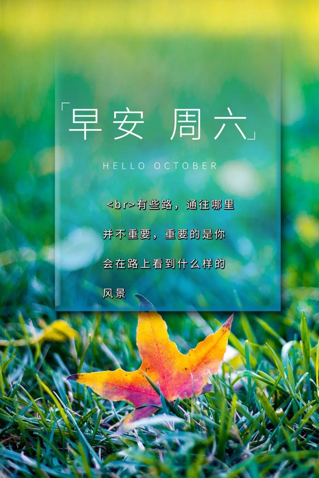 努力没有回报的句子