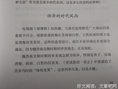 魏晋风度读后感