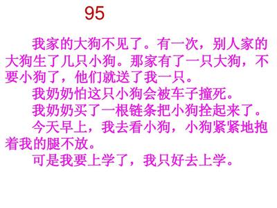 小狗不见了作文