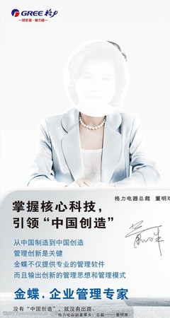 董明珠作文素材