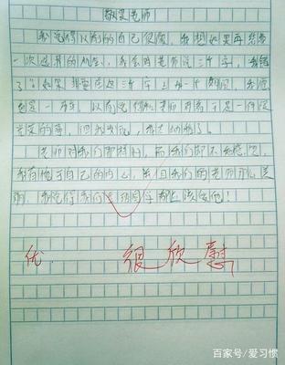 严厉的老师作文300字