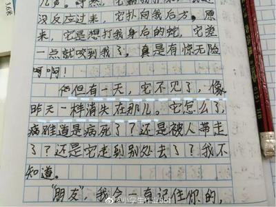 小狗不见了作文