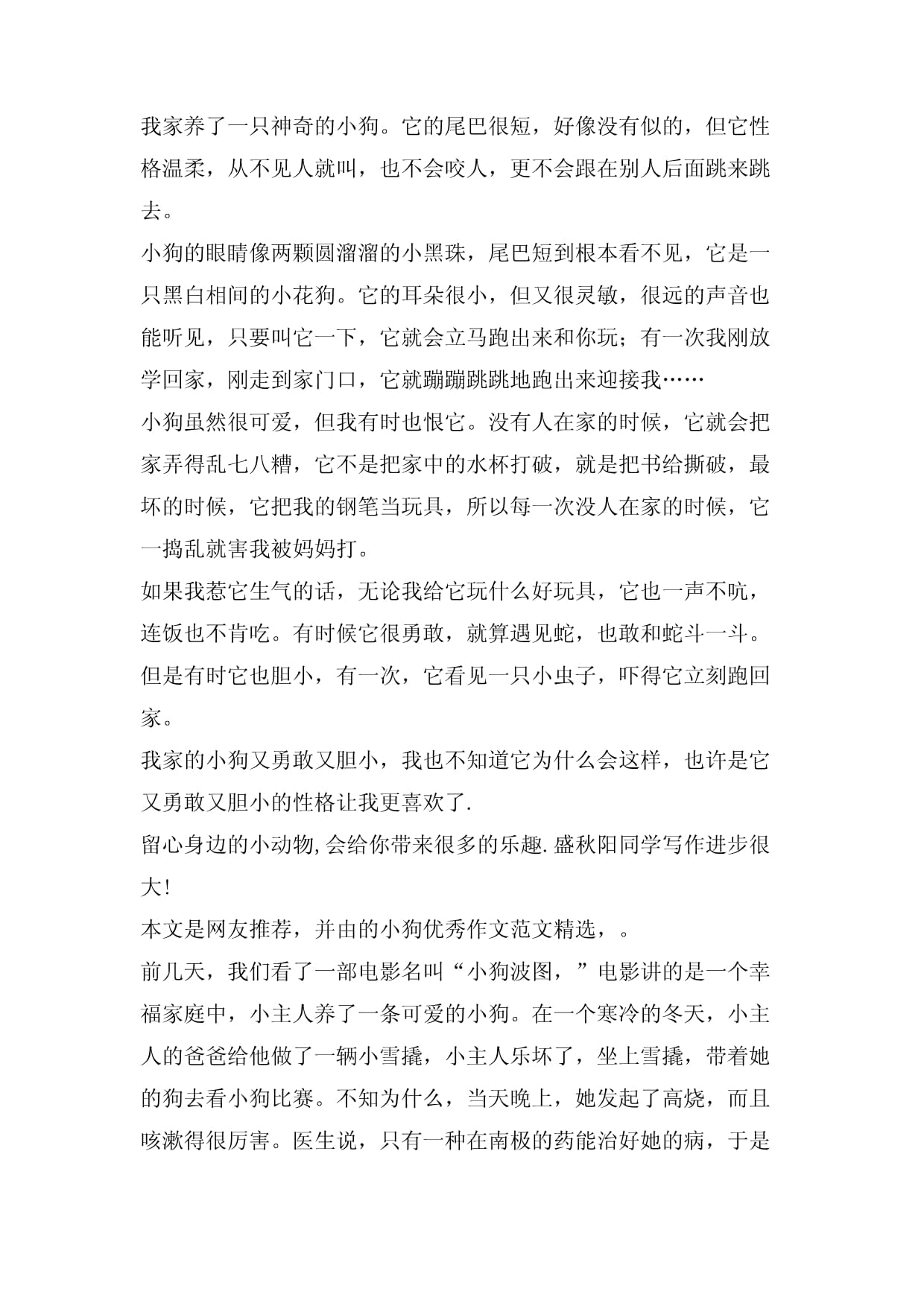 小狗不见了作文