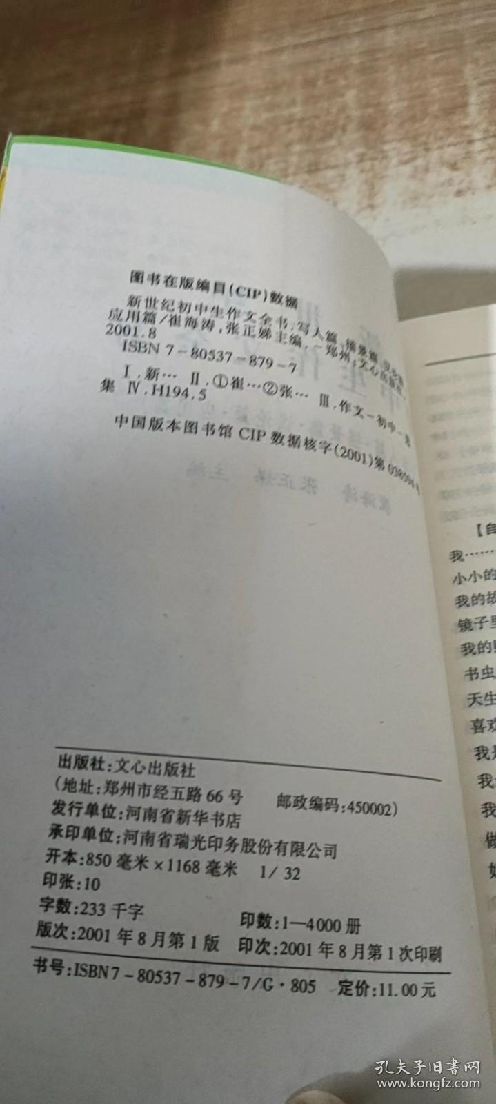 描景的作文
