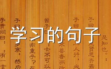 形容胡子的句子