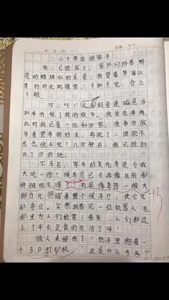 20年后的家乡作文600字