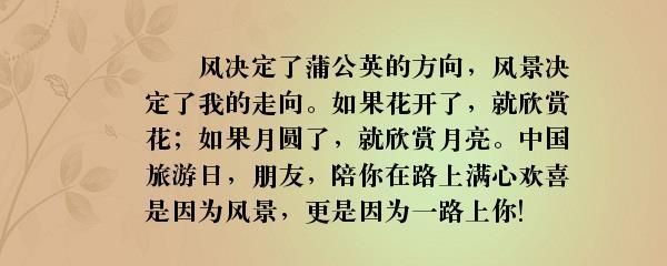 赞美蝴蝶的句子