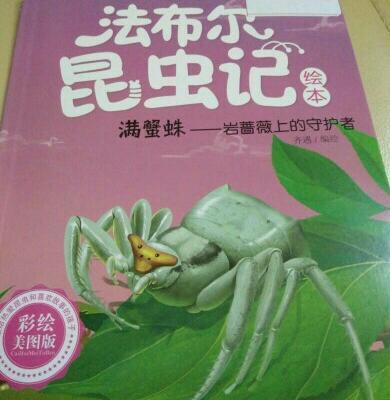 昆虫记蟹蛛读后感